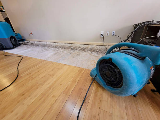 Professional Emergency Water Damage technician working in Memphis, TN